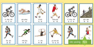 12強冠軍榮耀之後 基層棒球紮根四大問題待解決